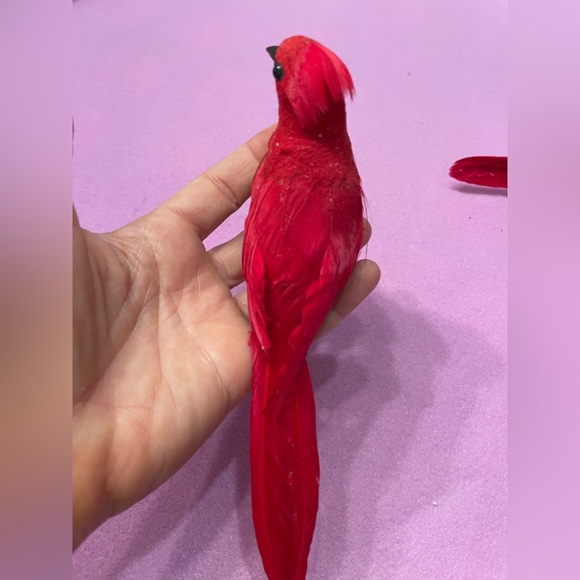 RAZ Imports - Red Cardinal Bird Set Of 2 Christmas ornament decor clip on tree - Picture 7 of 11